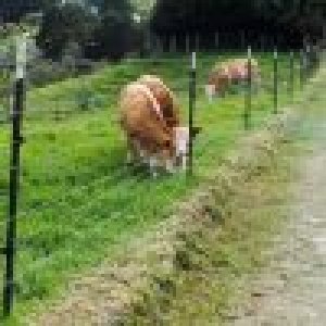 POSTE GANADERO 220 de acero