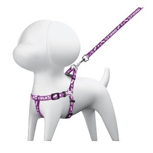 Paquete de 12 correas con pechera para perro, 1 cm ancho 44294